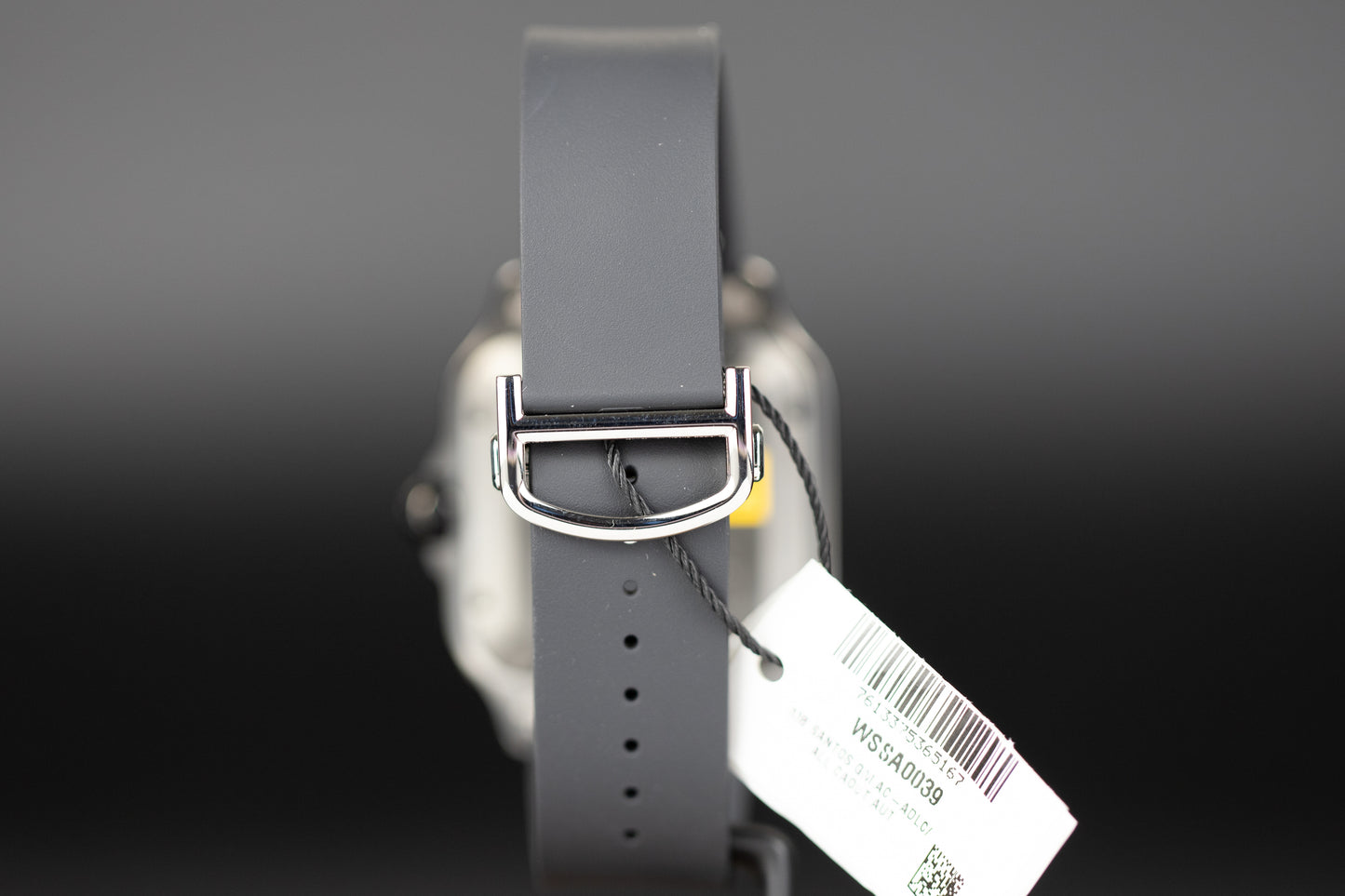 Cartier WSSA0039 Santos De Cartier