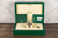 Rolex<br>116506 Daytona Platinum Ceramic 50th Anniversary Hindi Arabic Dial