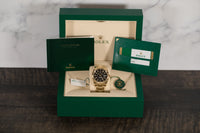 Rolex<br>326938 Sky-Dweller Black Dial