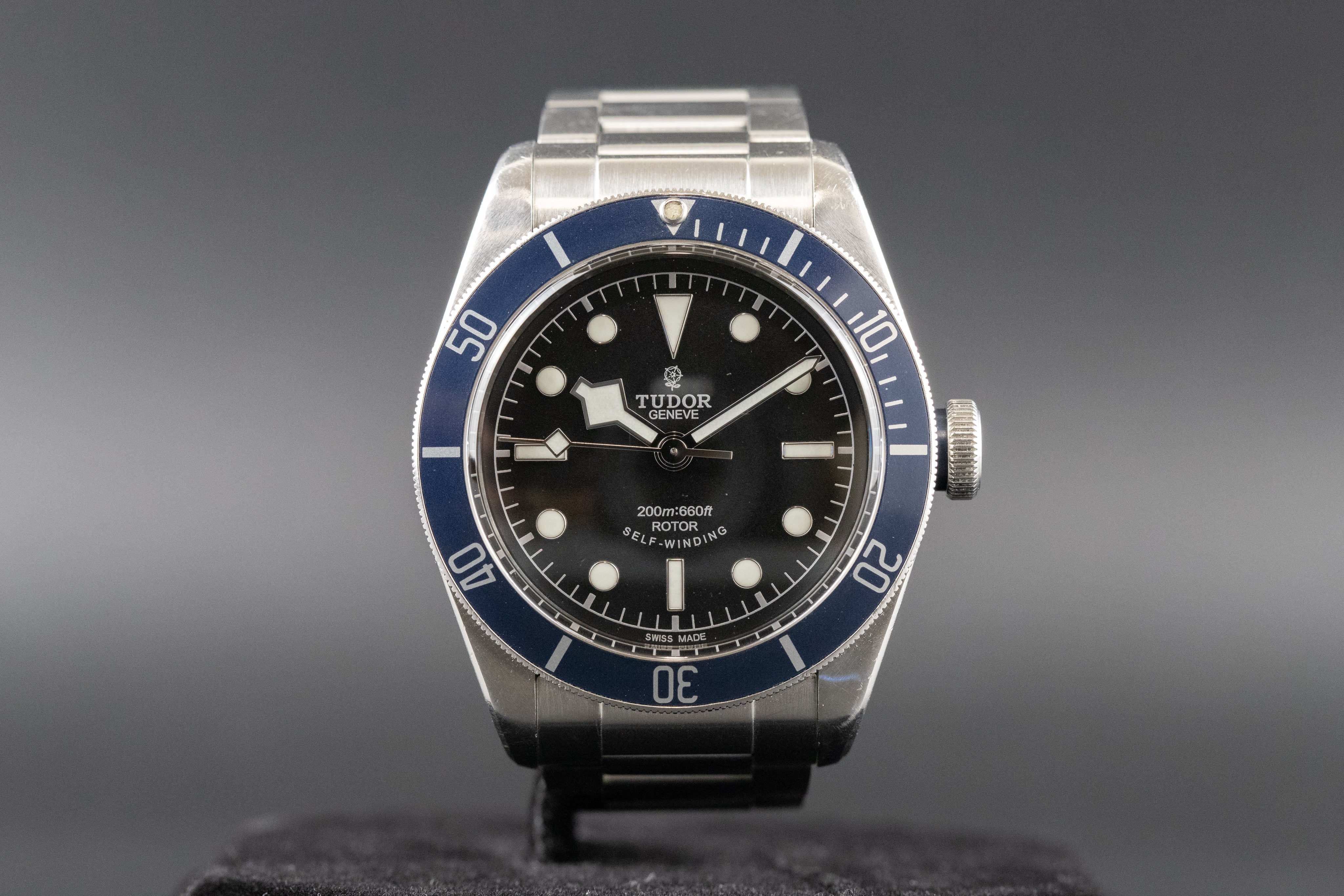 Tudor black cheap bay black rose