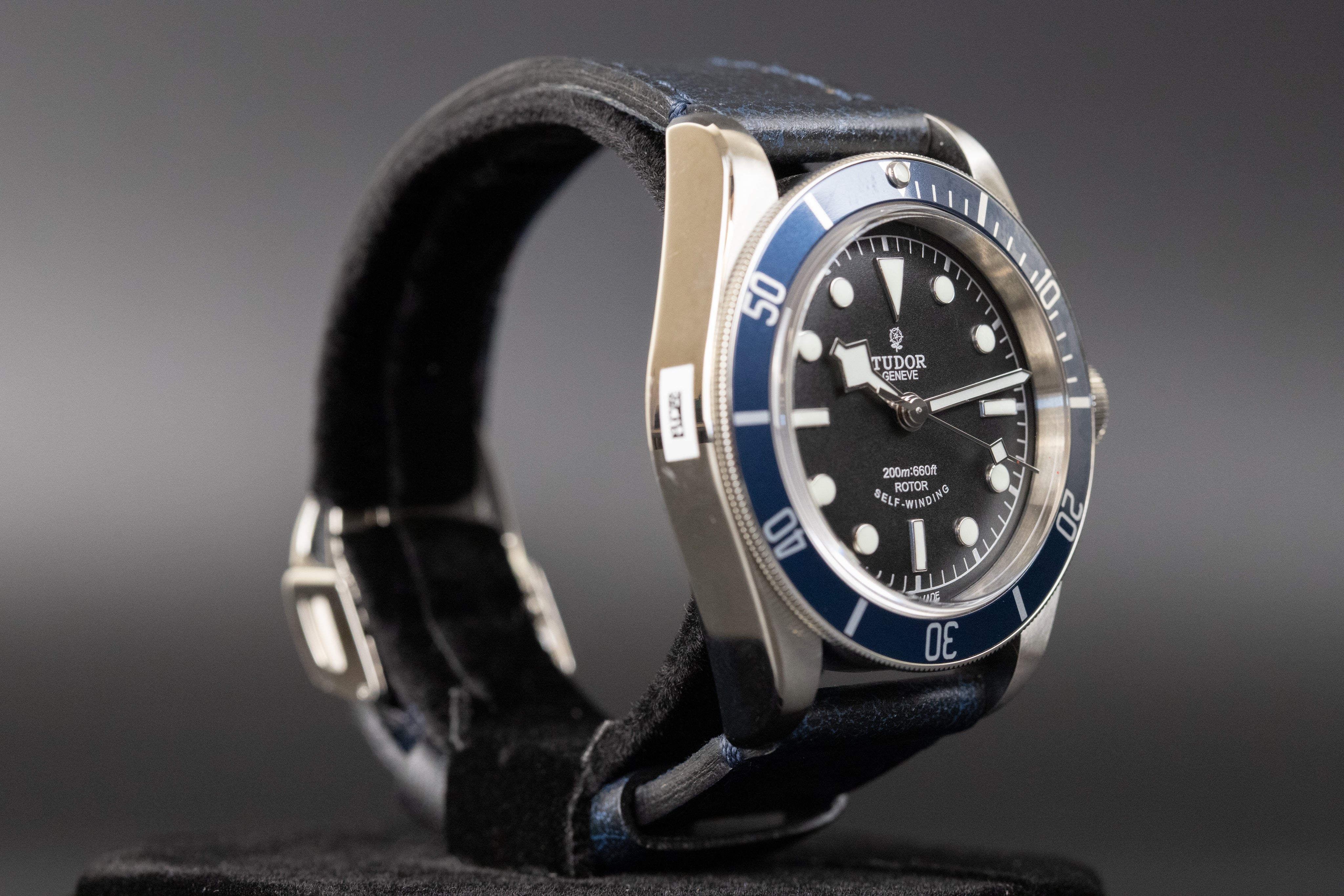 Tudor79220B Black Bay Blue Rose – Newport Watch Club