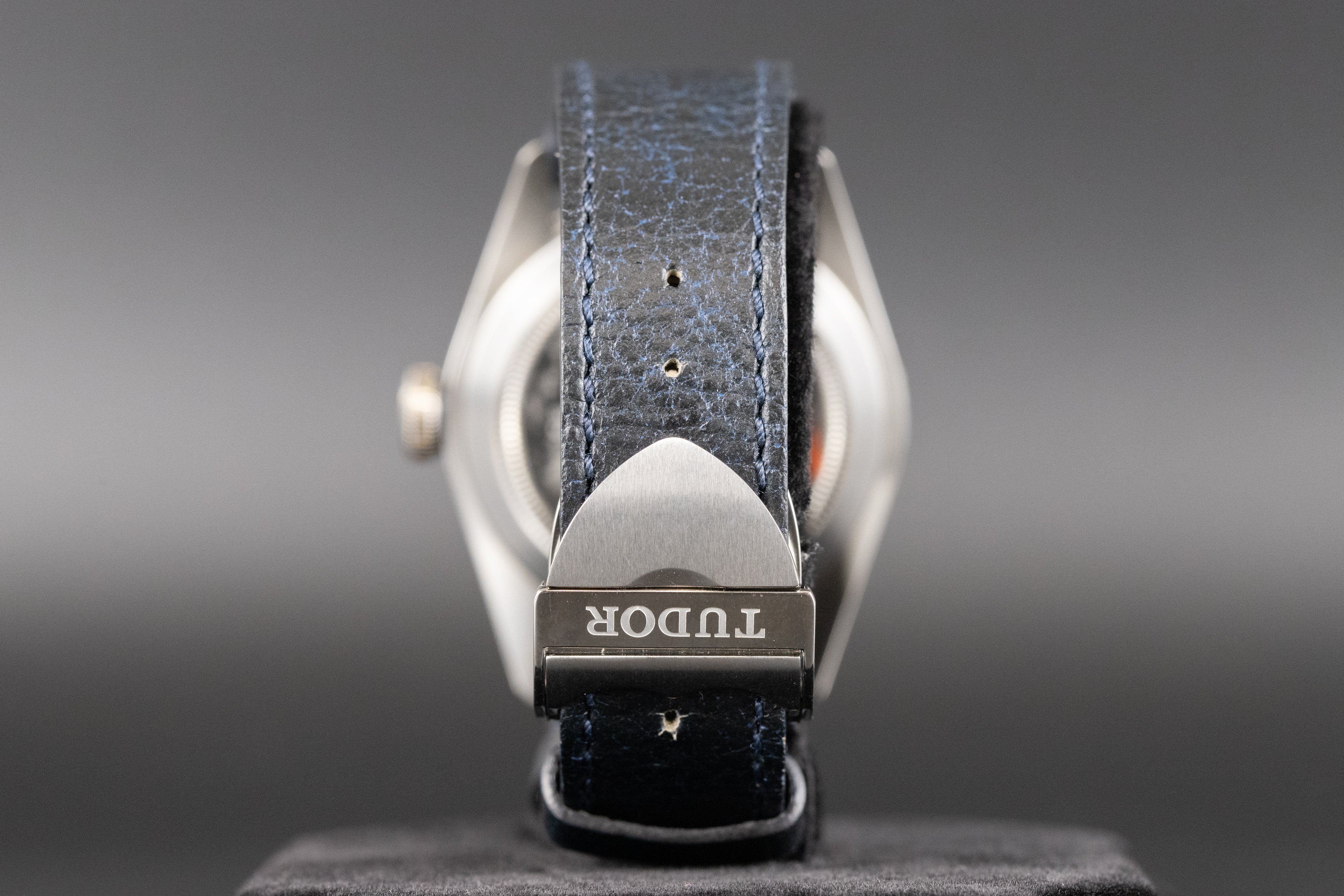 Tudor79220B Black Bay Blue Rose – Newport Watch Club